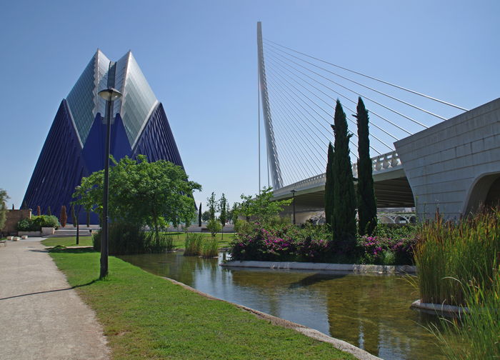 Agora