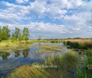 По Лосиному острову на велосипеде к истоку Яузы