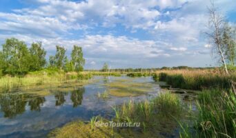 По Лосиному острову на велосипеде к истоку Яузы