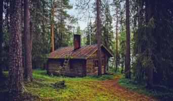 Коттеджи в Финляндии или отдых среди озер и рек