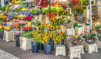 Цветочный рынок в Амстердаме