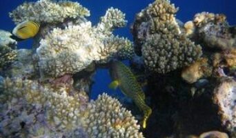 Пляжный отдых на майские праздники