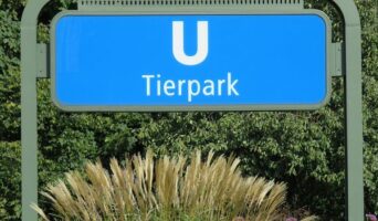 Что посетить в Германии с детьми?