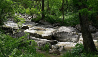 Курорт Белокуриха — уникальный отдых и лечение на Алтае