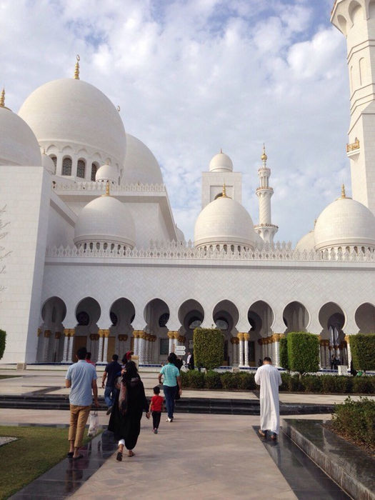 Мечеть шейха Зайда - фото 2