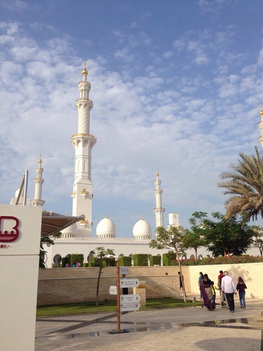 Мечеть шейха Зайда - общий вид