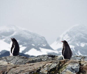Самые холодные страны и регионы мира