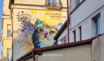 Куршская коса и Зеленоградск, что посмотреть за 1 день