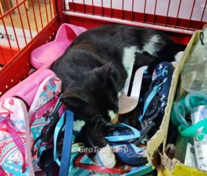 Что привезти из Турции в качестве сувенира или в подарок