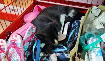 Что привезти из Турции в качестве сувенира или в подарок