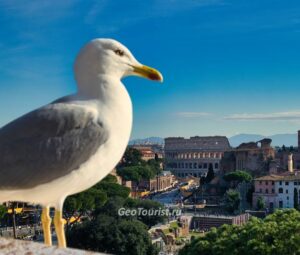 Первый раз в Риме: что можно посмотреть за один день