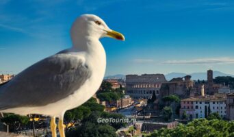 Первый раз в Риме: что можно посмотреть за один день